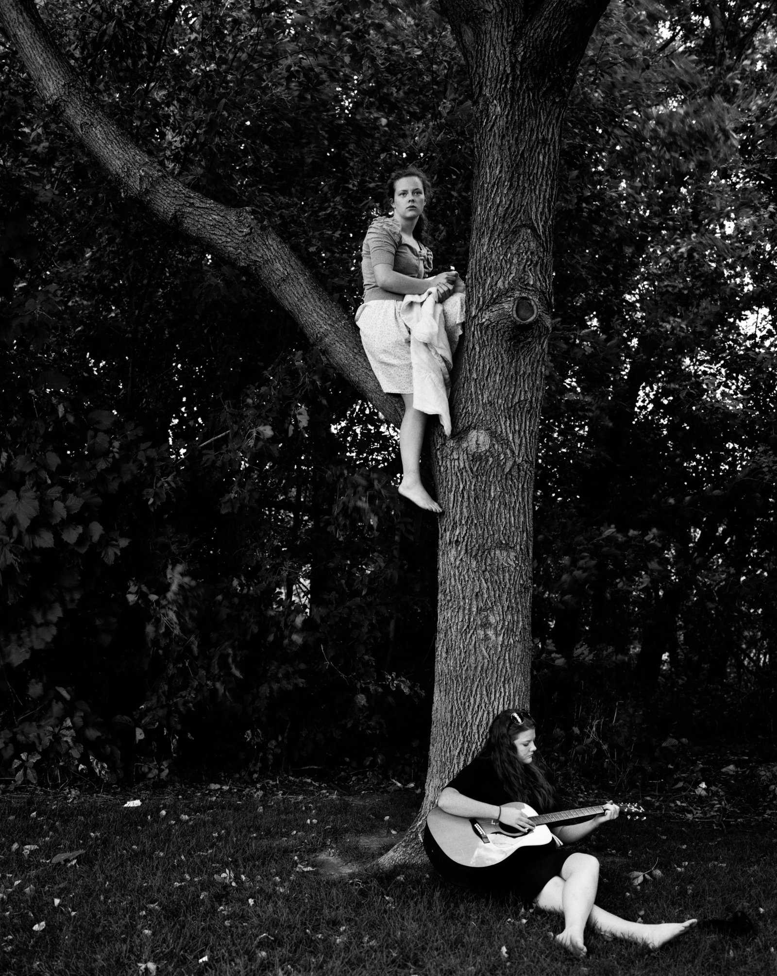 TreeClimbingOriginal_RheaPappas.jpg