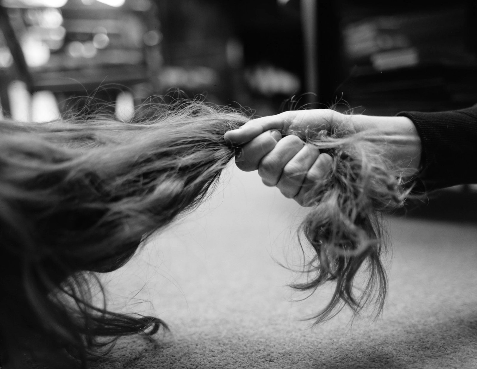 hairpulling_RheaPappas.jpg